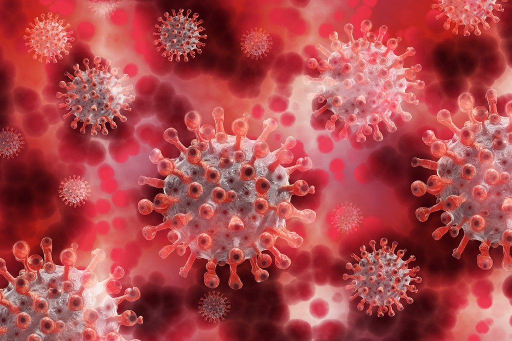 THE FLU AND THE PANDEMIC!