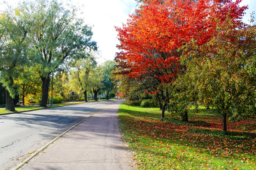 AUTUMN IN THE AIR! PICTURE&nbsp;DUMP