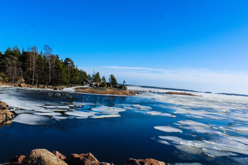 SPRING 2023 KOTKA. (PICTURE&nbsp;DUMP!)