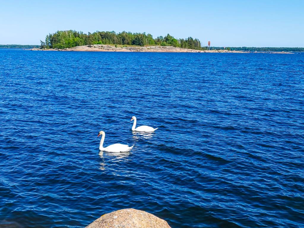 SUMMER HERE AND THERE IN KOTKA&nbsp;2023.